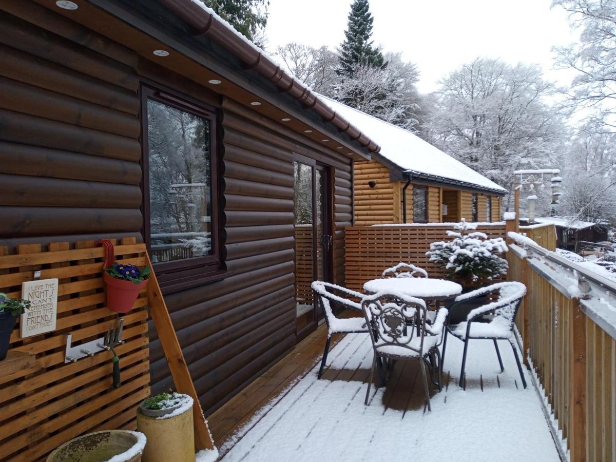 Charming Lodge Cosy Comfortable Ideal Location Blairgowrie and Rattray Exterior photo